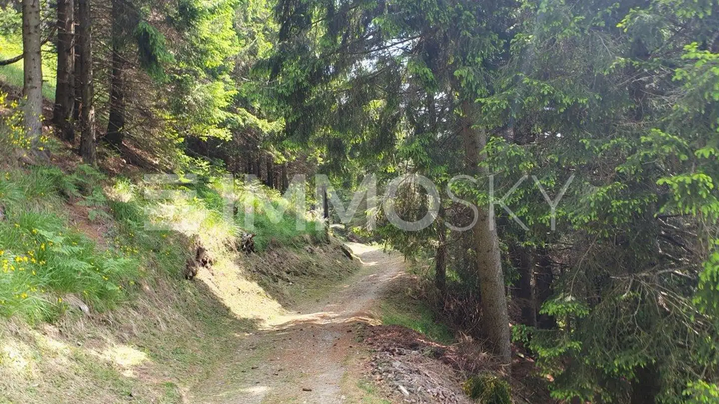 Casa singola in vendita - 6513 Monte Carasso - Photo 3