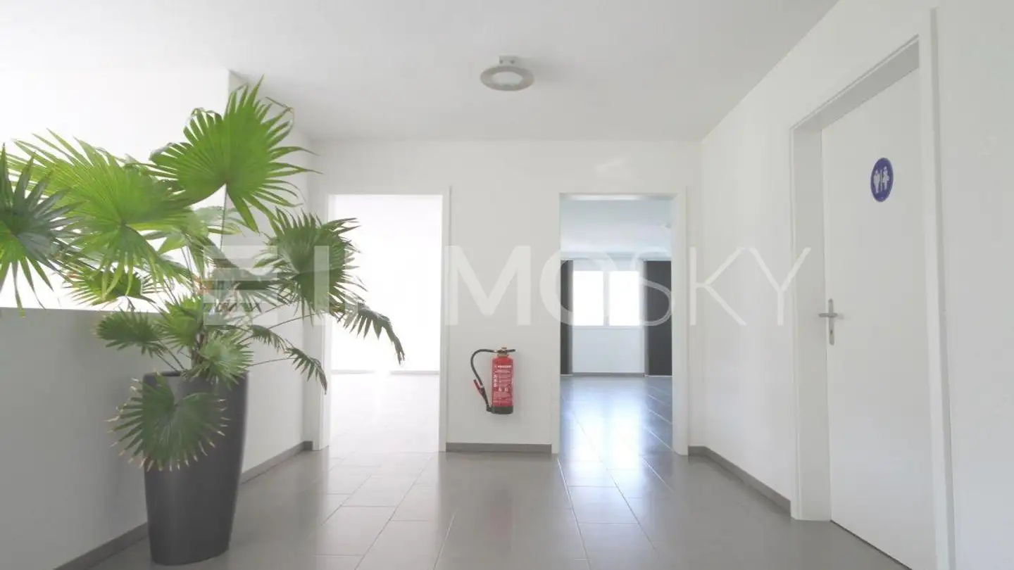 Office space for rent - 5745 Safenwil