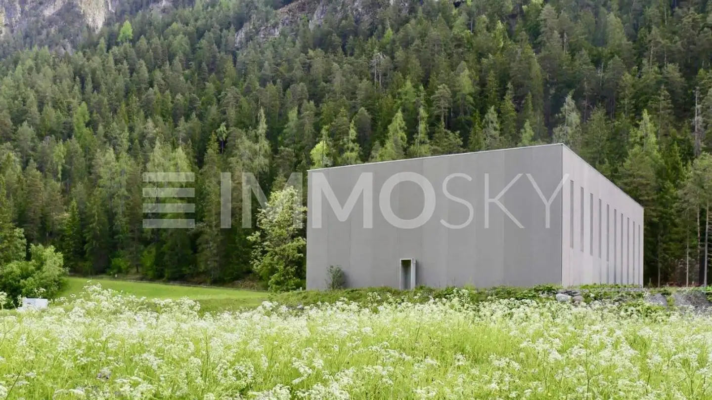 Commerciale in vendita - 7477 Filisur - Photo 2