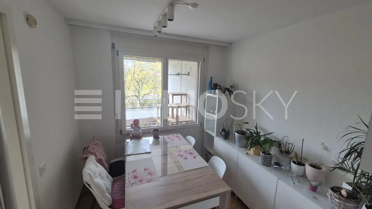 Appartamento in affitto - 4147 Aesch BL - Photo 2