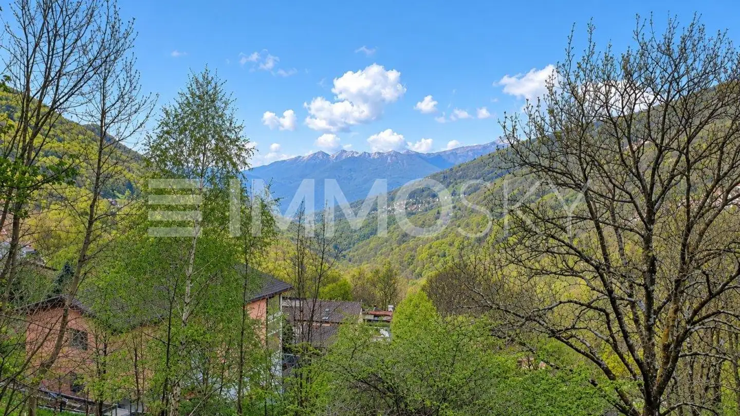 Terrain constructible à vendre - Strada Ai Morin De Piandera, 6959 Maglio di Colla - Photo 2