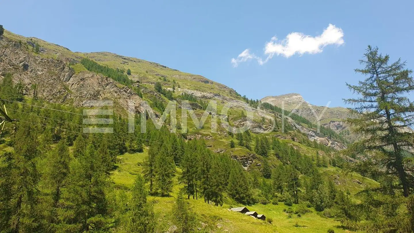 Terreno edificabile in vendita - 3920 Zermatt - Photo 4