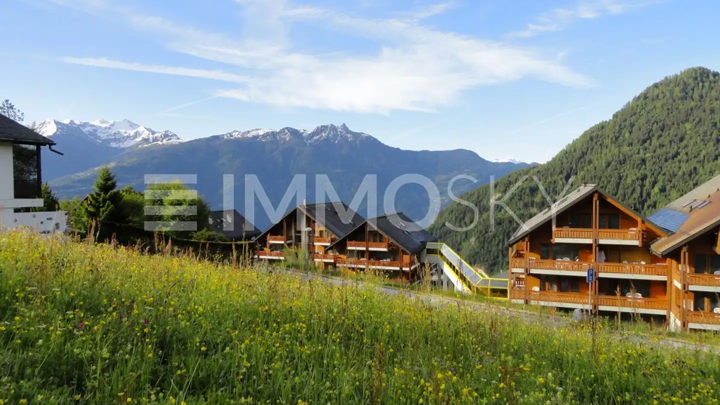 Terreno edificabile in vendita - 1911 Ovronnaz - Photo 3