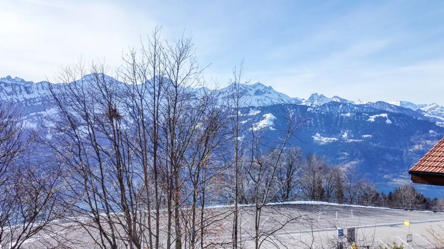 Constructible plot for sale - Schmockenstrasse, 3803 Beatenberg - Photo 4