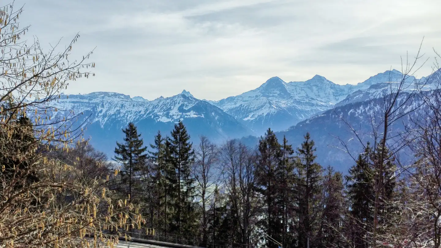 Constructible plot for sale - Schmockenstrasse, 3803 Beatenberg