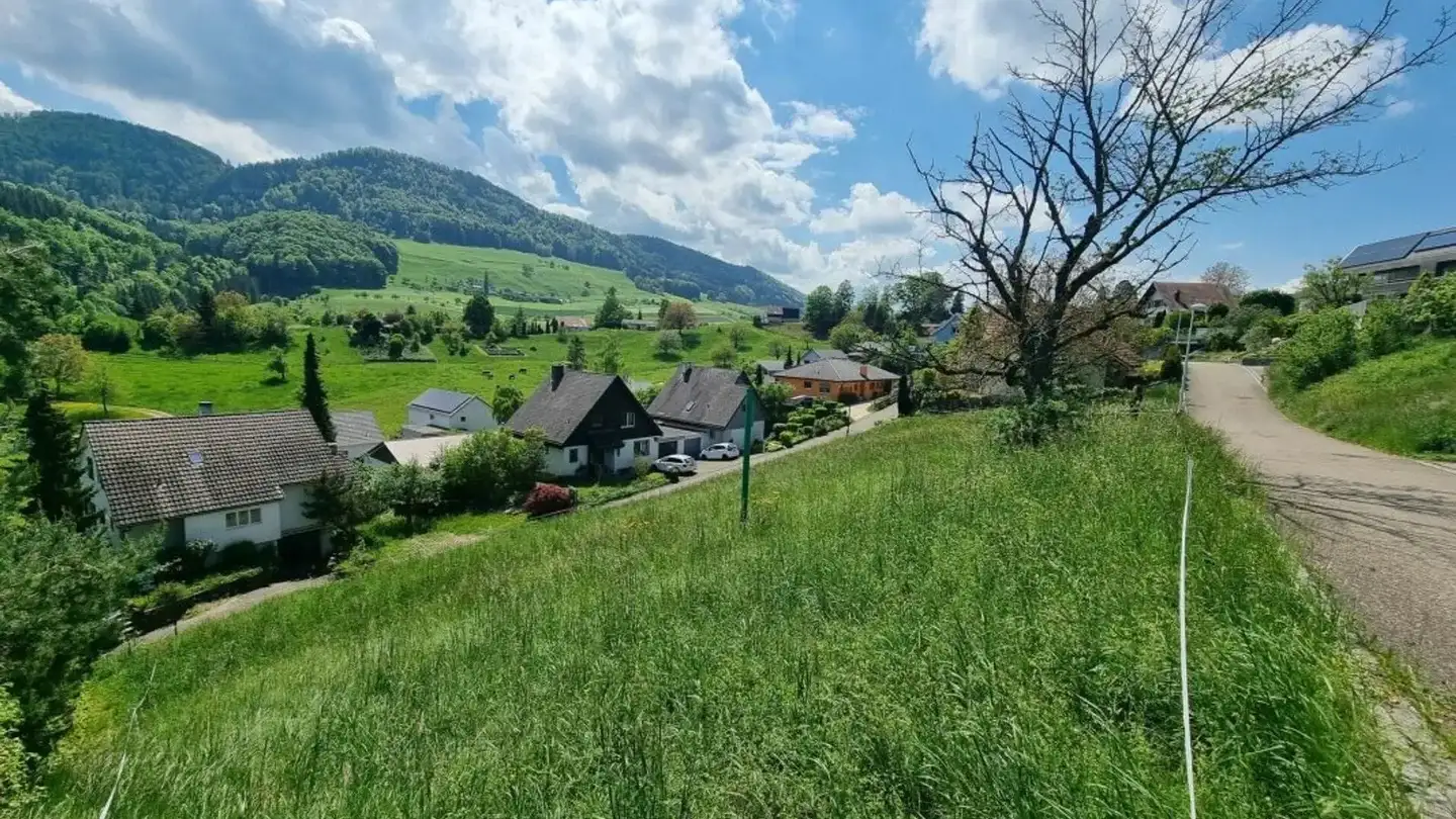 Terrain constructible à vendre - Fluhgasse, 4207 Bretzwil - Photo 2
