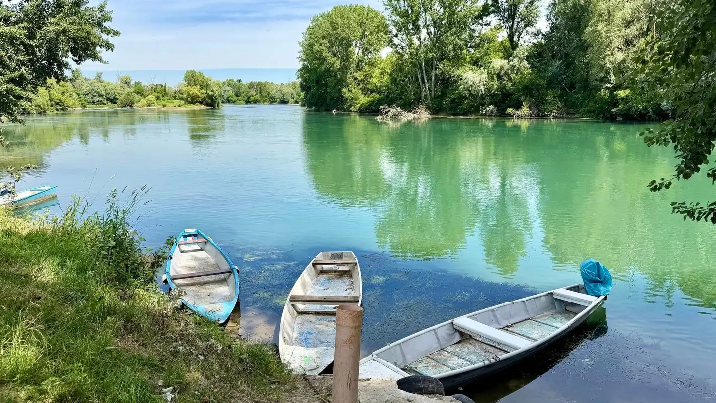 Appartement à louer - Höchiweg 8, 4628 Wolfwil