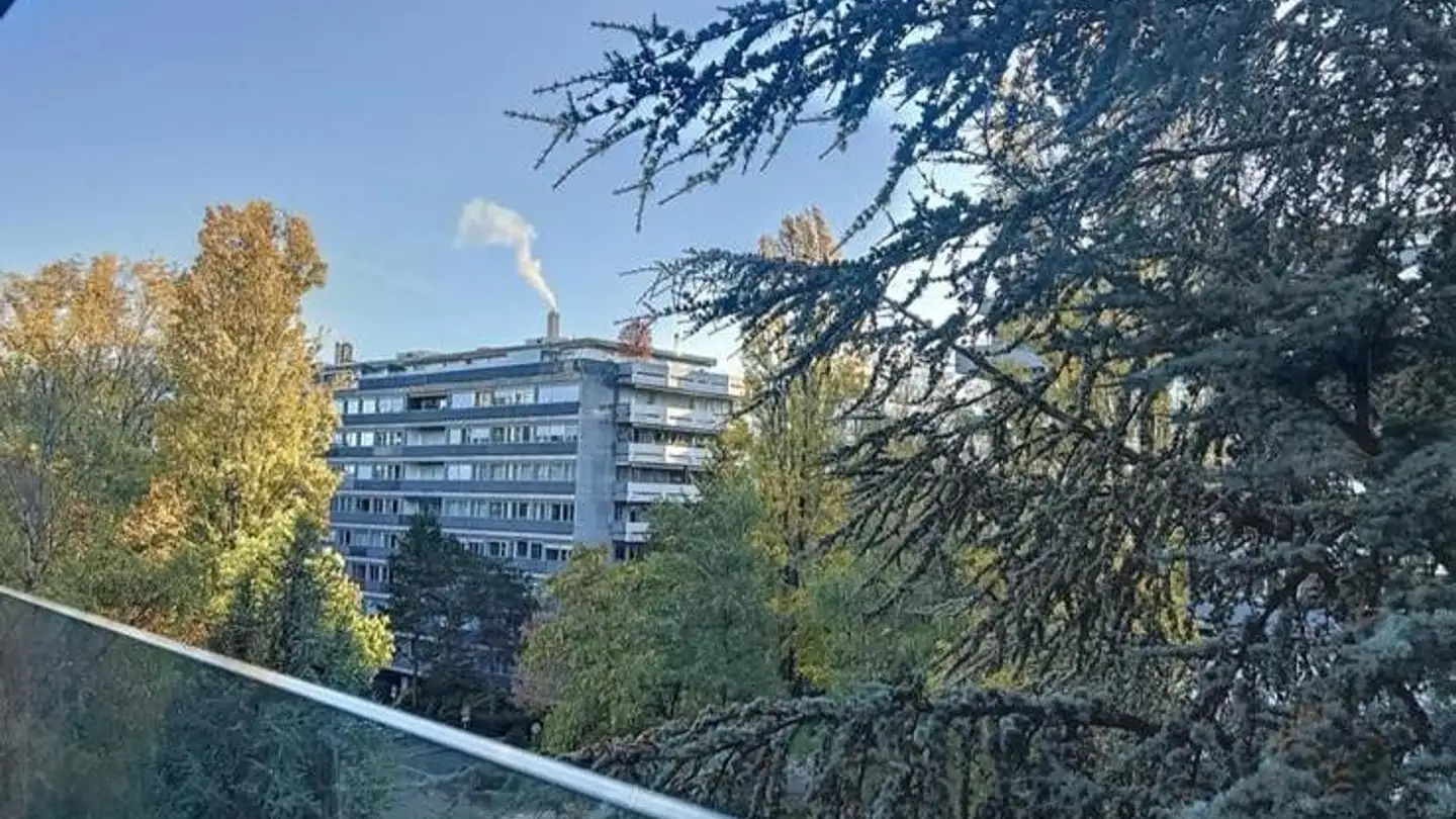 Apartment for rent - 1206 Genève - Photo 2