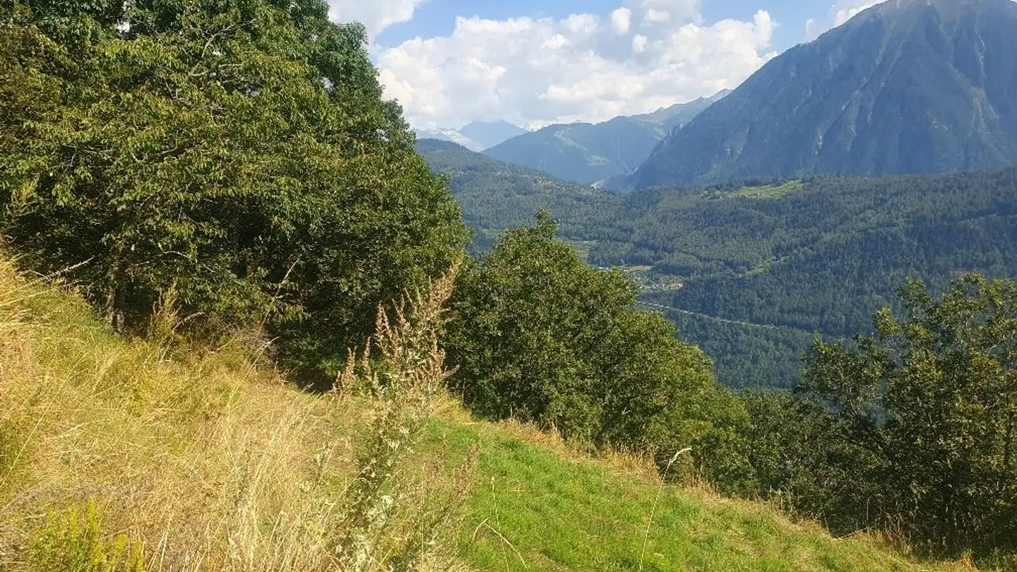 Terreno edificabile in vendita - 1928 Ravoire - Photo 3