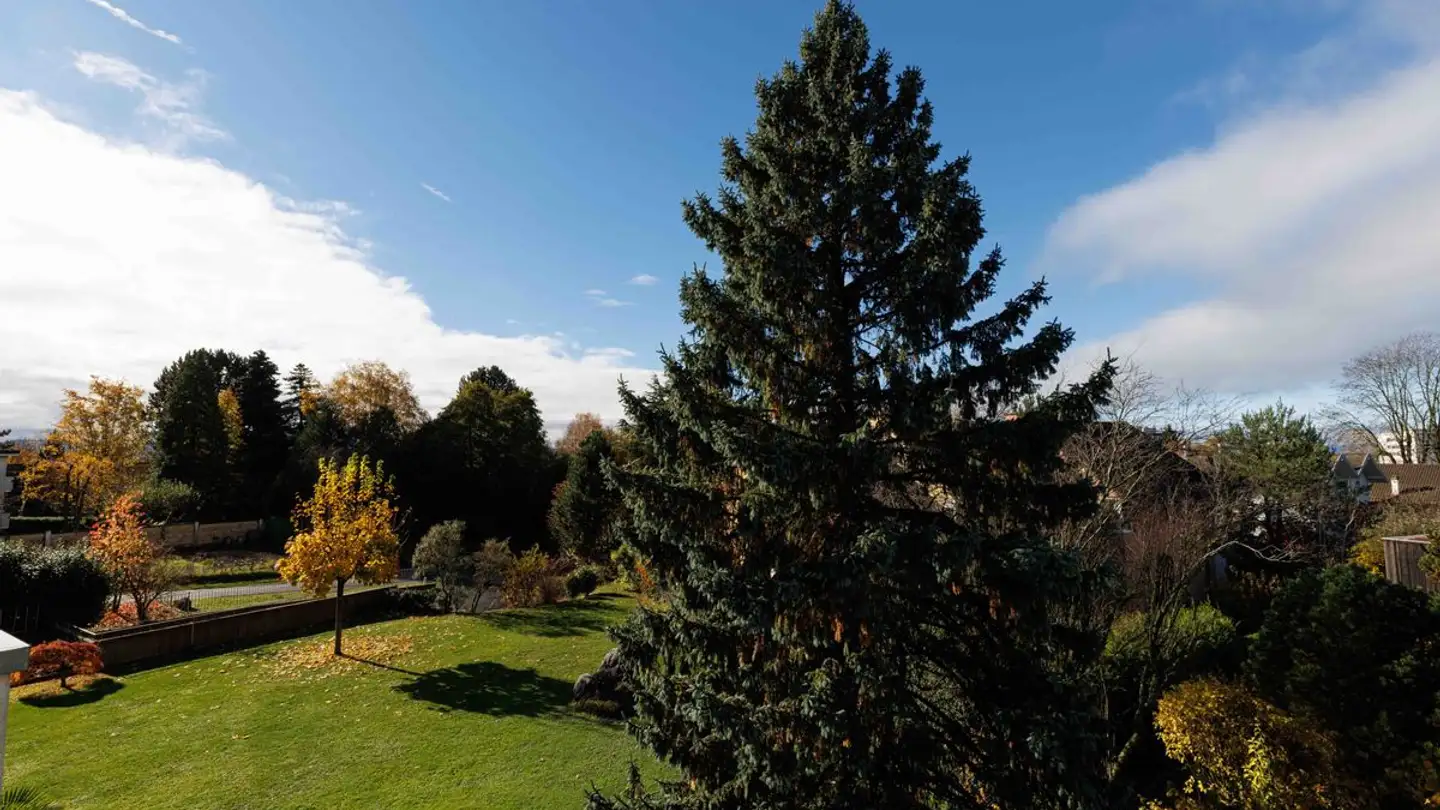 Appartement à vendre - 1003 Lausanne - Photo 2