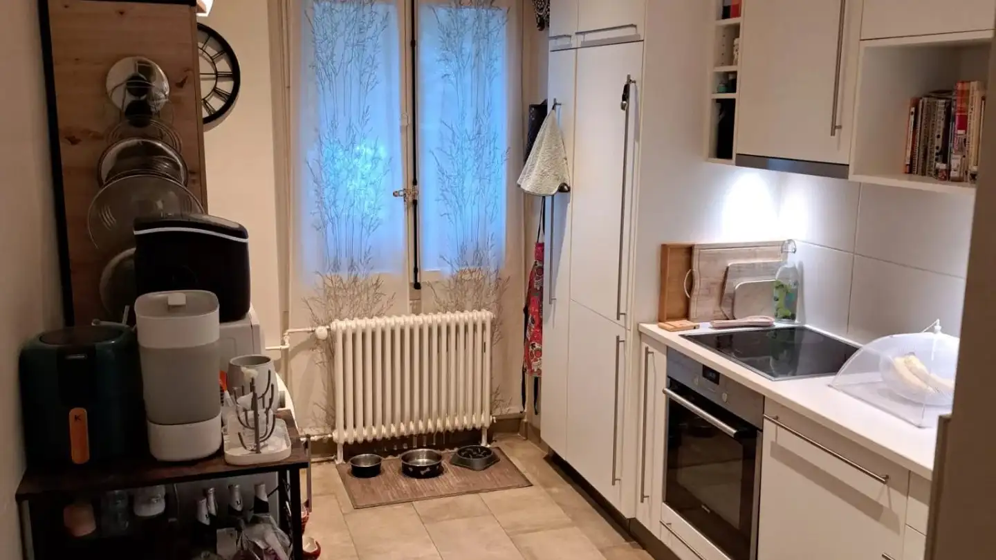 Appartamento in affitto - Rue Châtelain, 1203 Genève - Photo 2