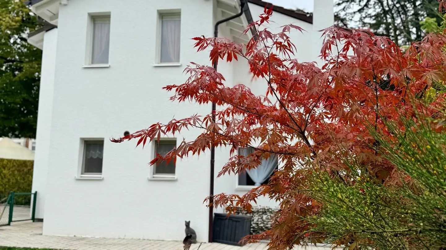 Maison en terrasse à vendre - 1260 Nyon