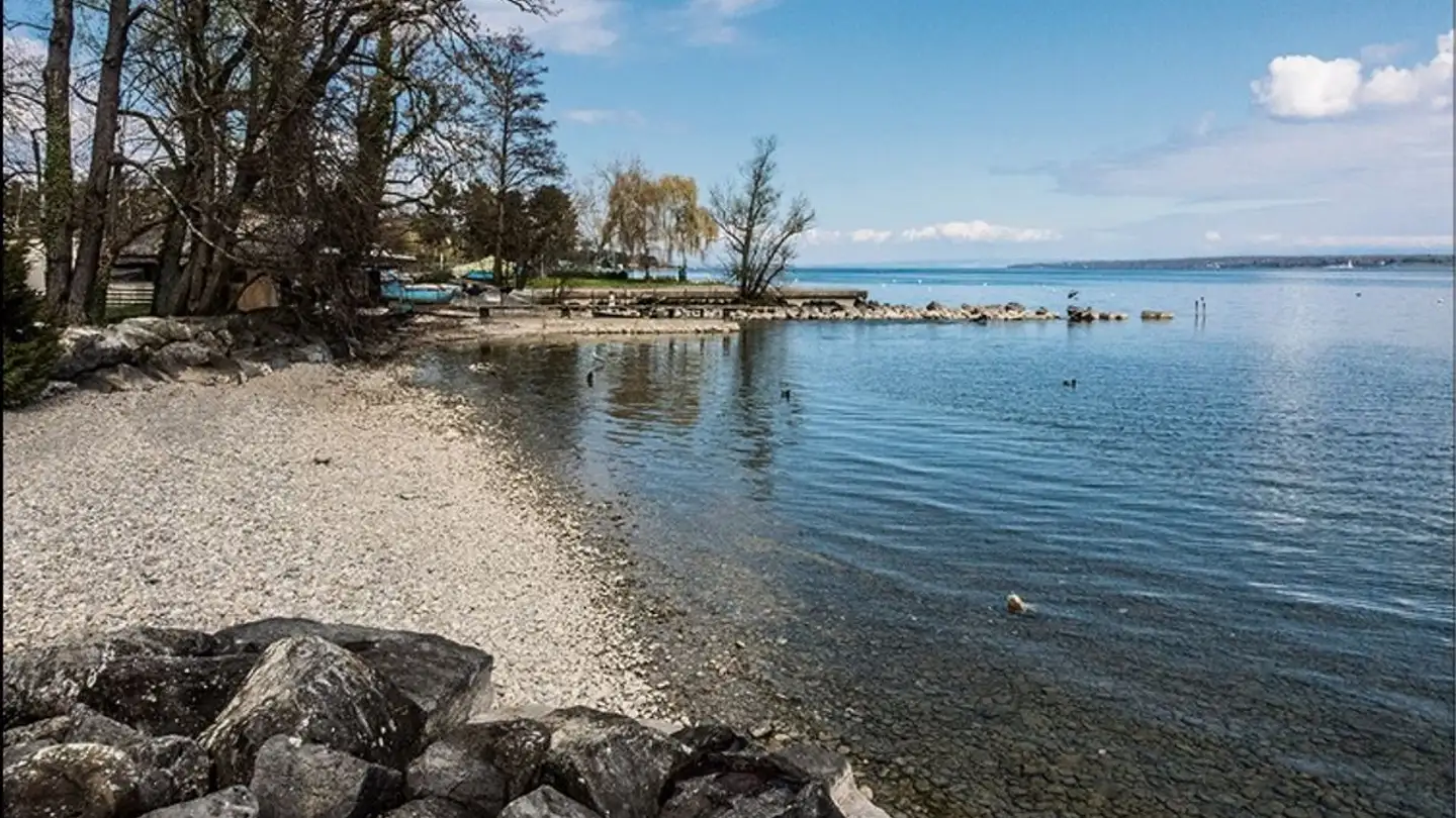 Villa mieten - Chemin Du Guet, 1295 Mies - Foto 3
