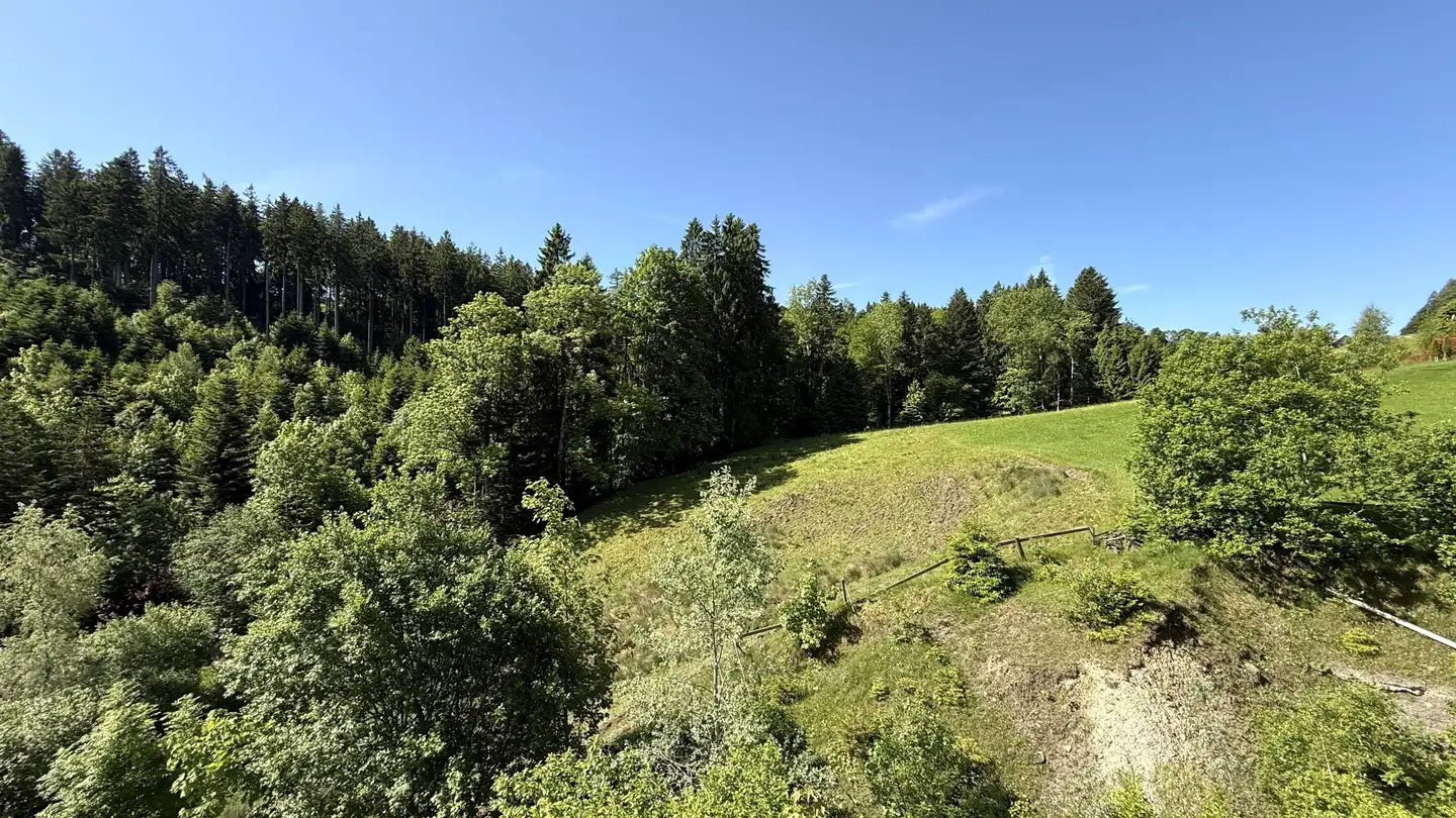 Wohnung kaufen - Unterrechstein 616, 9038 Rehetobel
