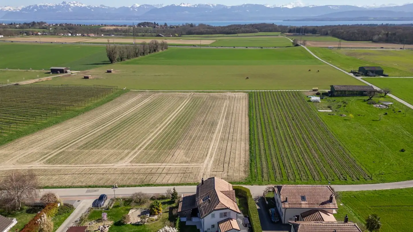 Maison individuelle à vendre - 1184 Luins - Photo 4