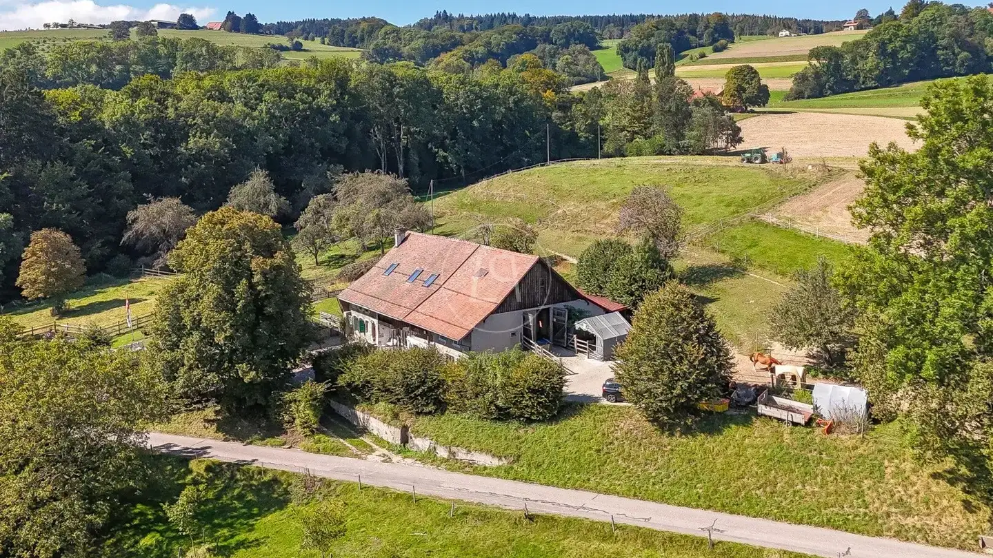 Farm for sale - 1088 Ropraz - Photo 4