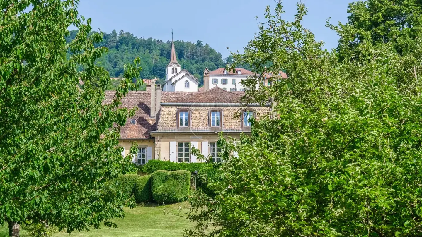 Castle for sale - 1173 Féchy
