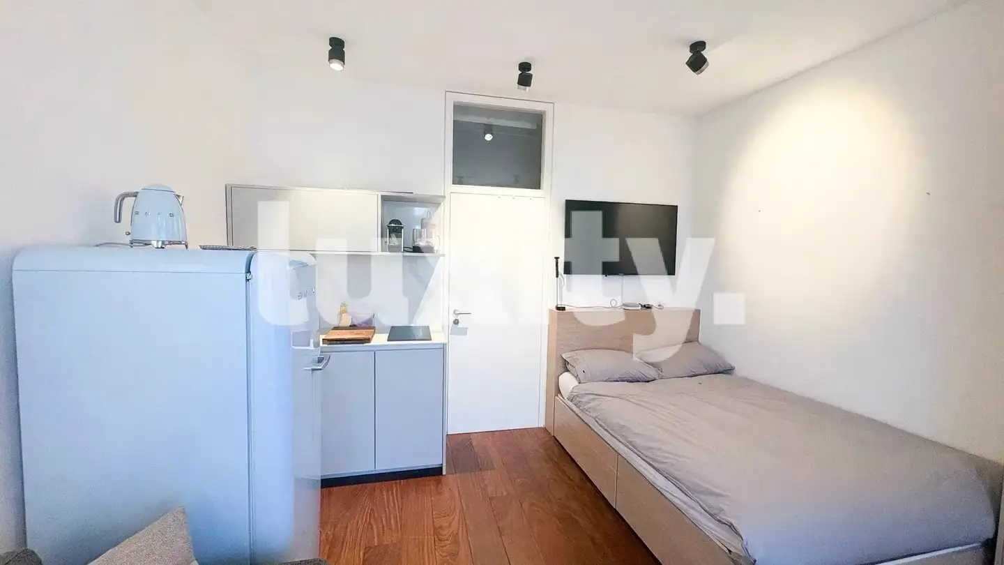 Studio à louer - 1227 Carouge GE - Photo 2