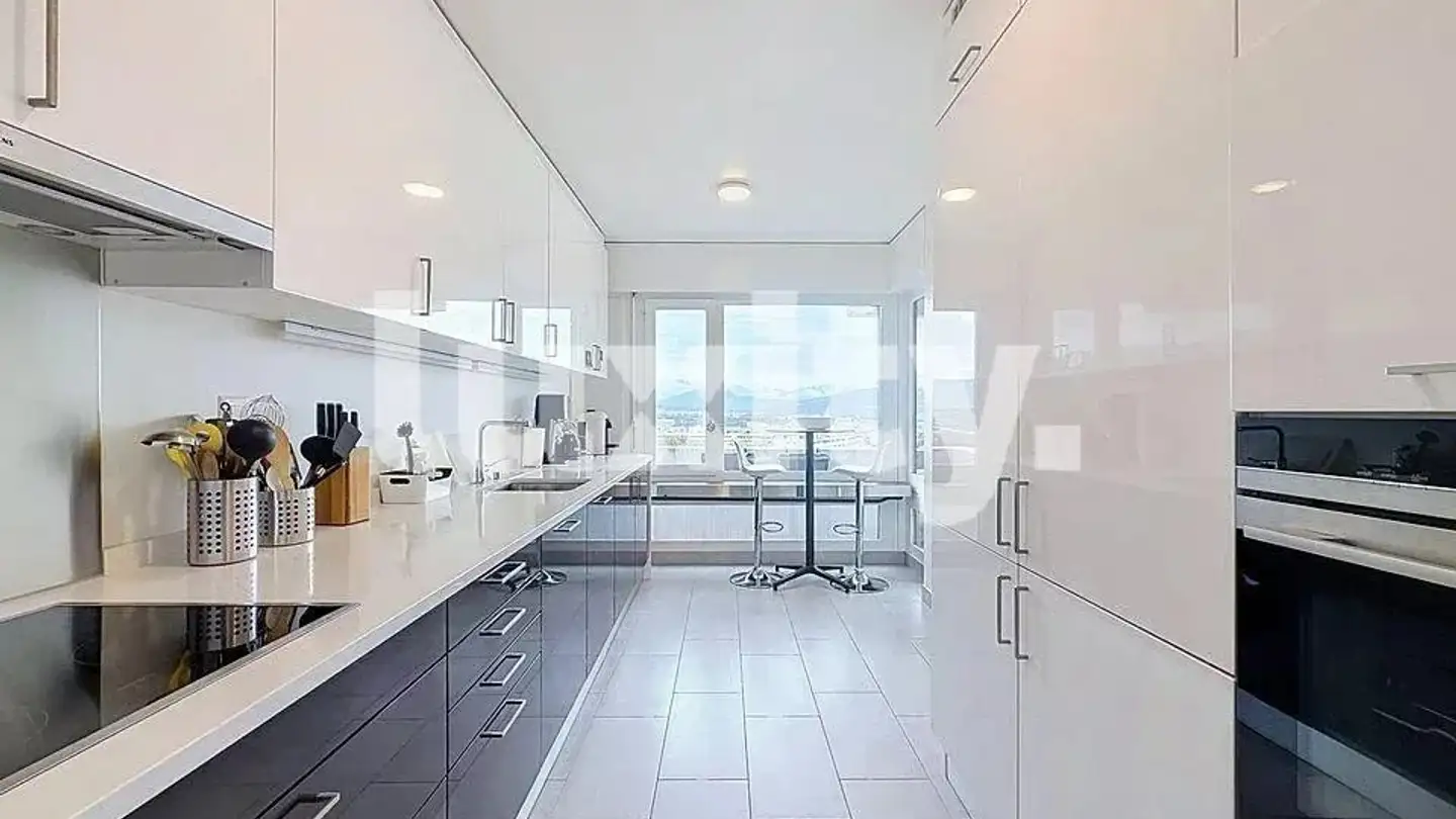 Wohnung mieten - Chemin Du Petit-Saconnex, 1209 Genève - Foto 2