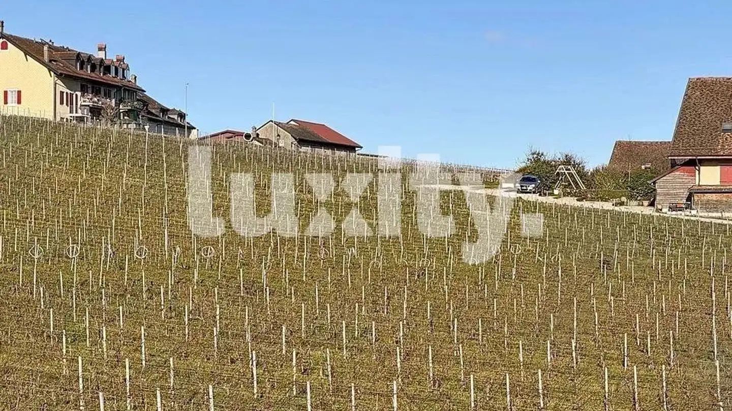 Appartement à louer - 1173 Féchy - Photo 2