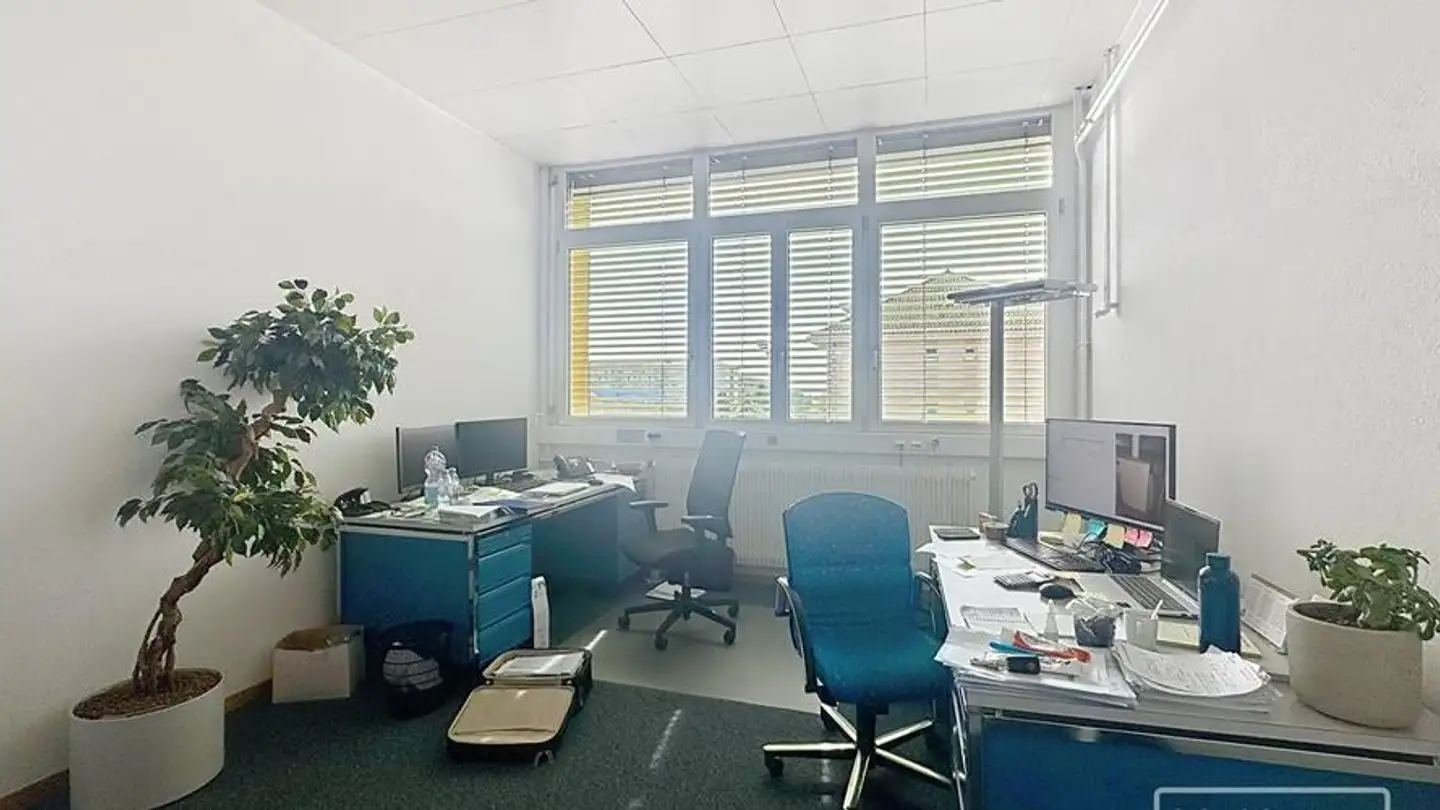 Bürofläche mieten - Rue Du Jura 14, 1023 Crissier - Foto 4