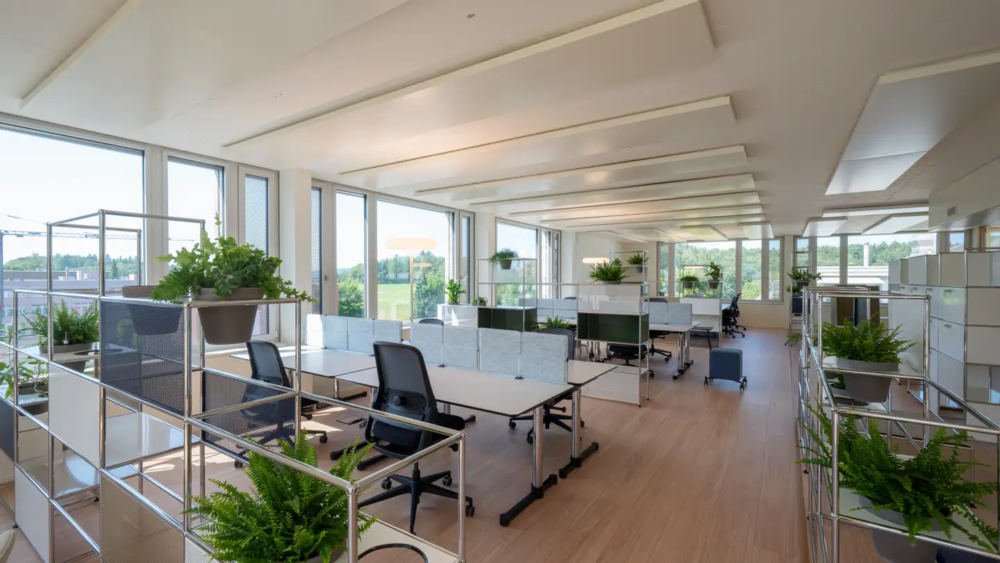 Office space for rent - Täfernstrasse 14a, 5405 Dättwil AG