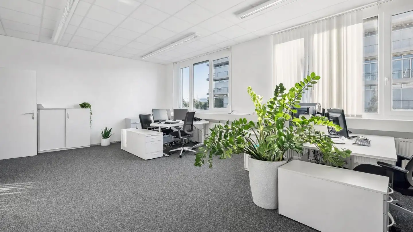 Bürofläche mieten - Hegenheimermattweg 183, 4123 Allschwil - Foto 4