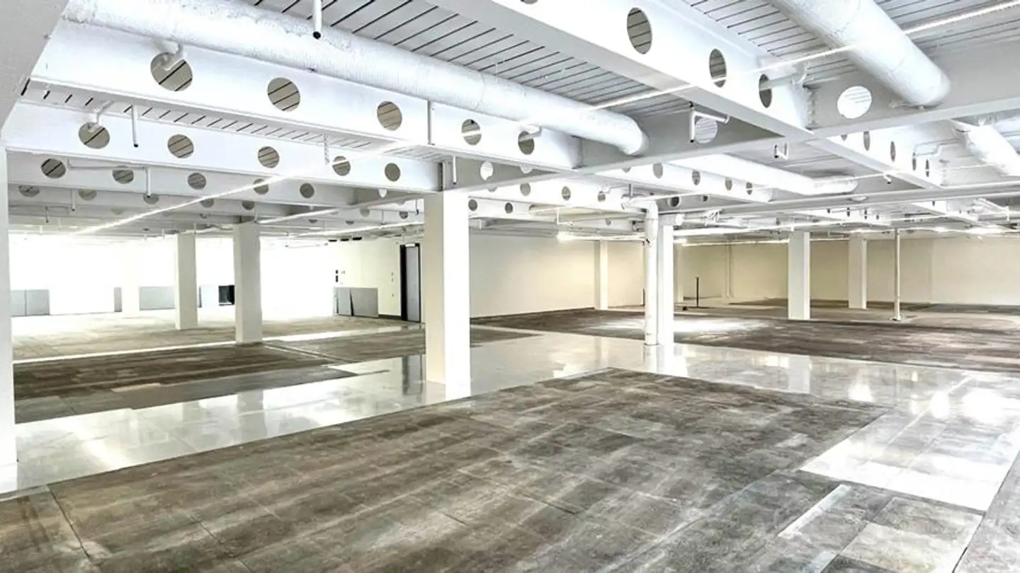 Commerciale in affitto - Chemin De Roseneck 5, 1006 Lausanne - Foto 4
