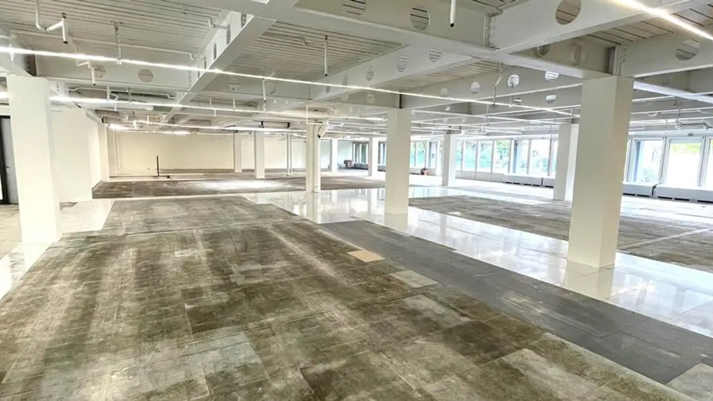 Commerciale in affitto - Chemin De Roseneck 5, 1006 Lausanne - Foto 4