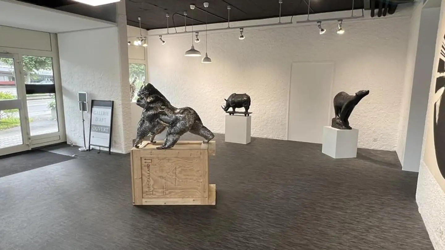 Commercial à louer - Rue Du Jura 11, 2900 Porrentruy
