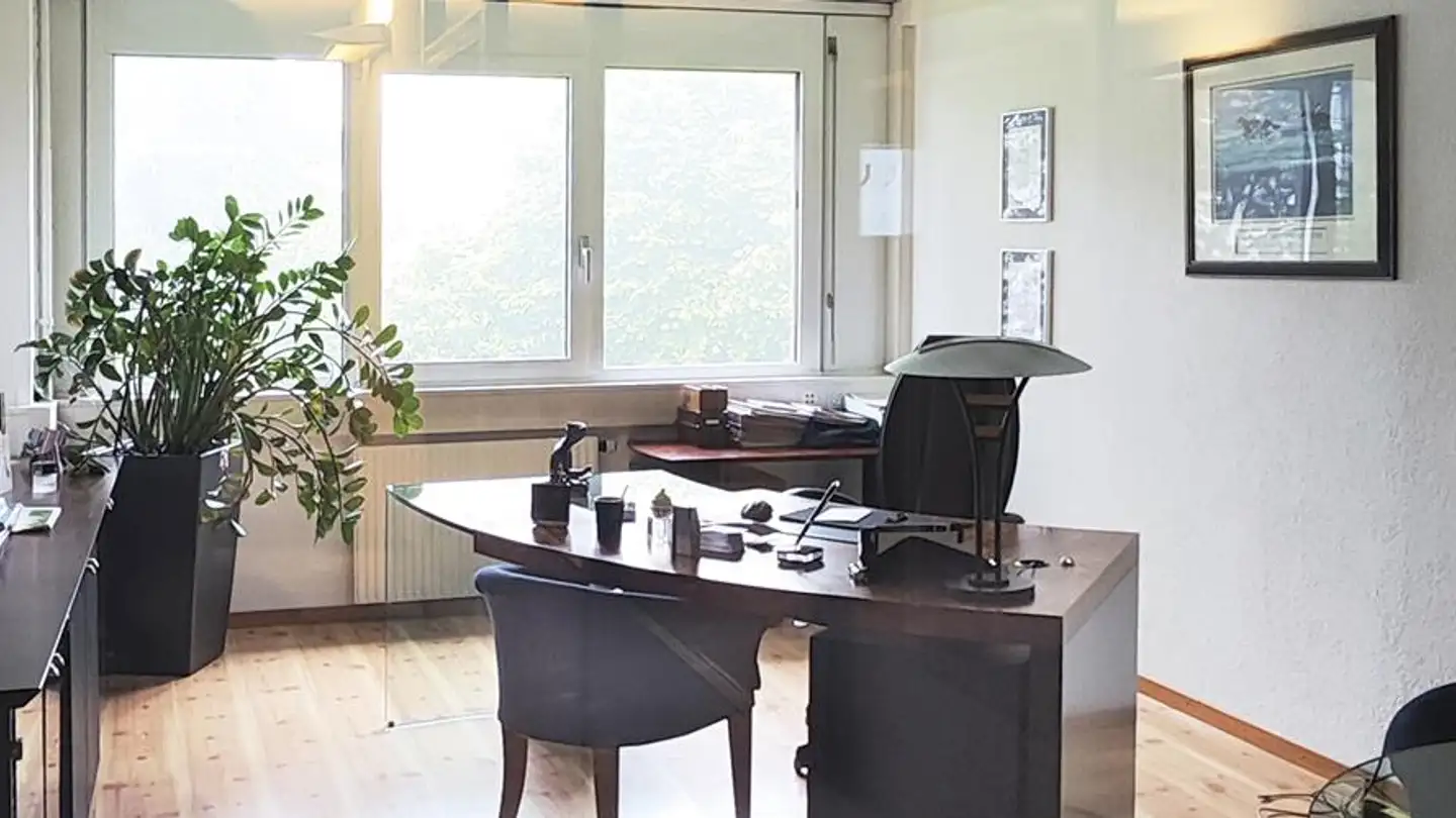 Spazio ufficio in affitto - Avenue Des Boveresses 42, 1010 Lausanne - Foto 2