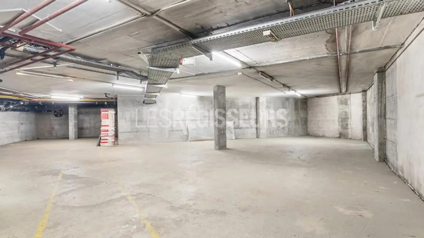 Shop for rent - Rue Peillonnex 2, 1225 Chêne-Bourg - Photo 4