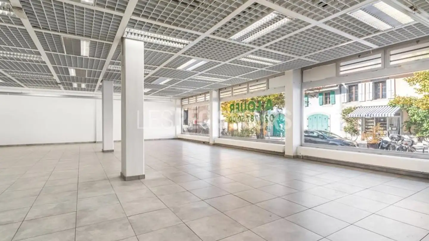 Geschäft mieten - Rue Peillonnex 2, 1225 Chêne-Bourg - Foto 4