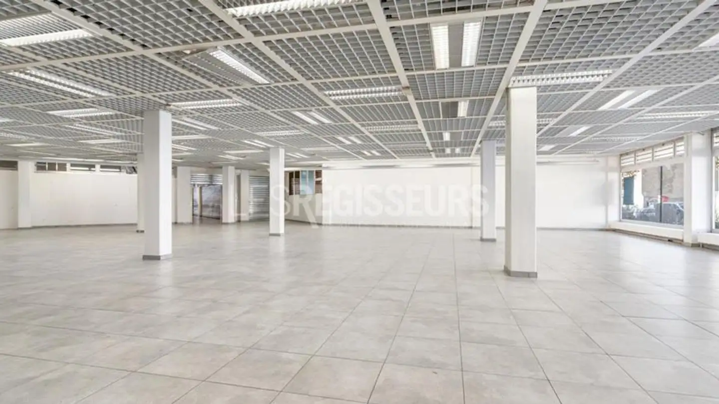 Geschäft mieten - Rue Peillonnex 2, 1225 Chêne-Bourg - Foto 3