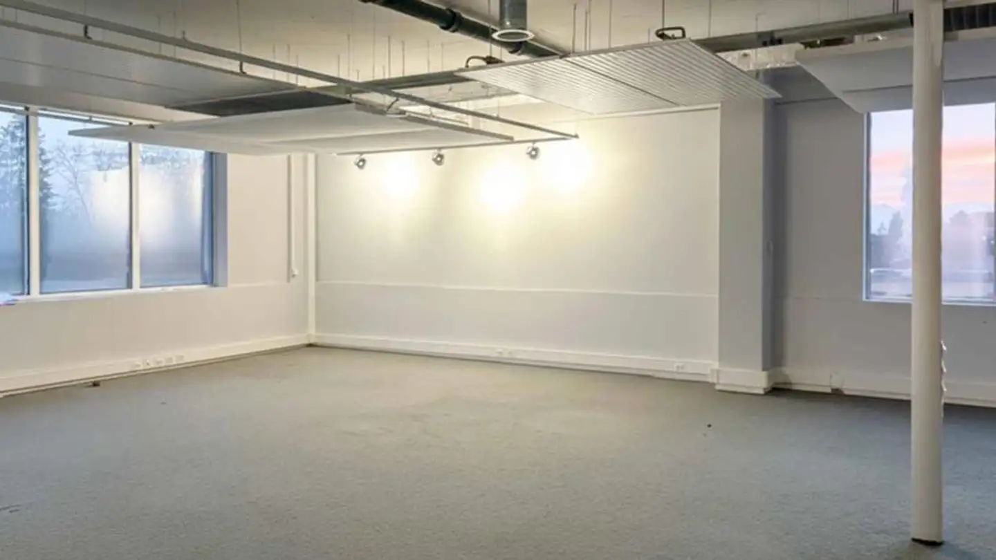 Commerciale in affitto - Rue Emma- Kammacher 9, 1217 Meyrin