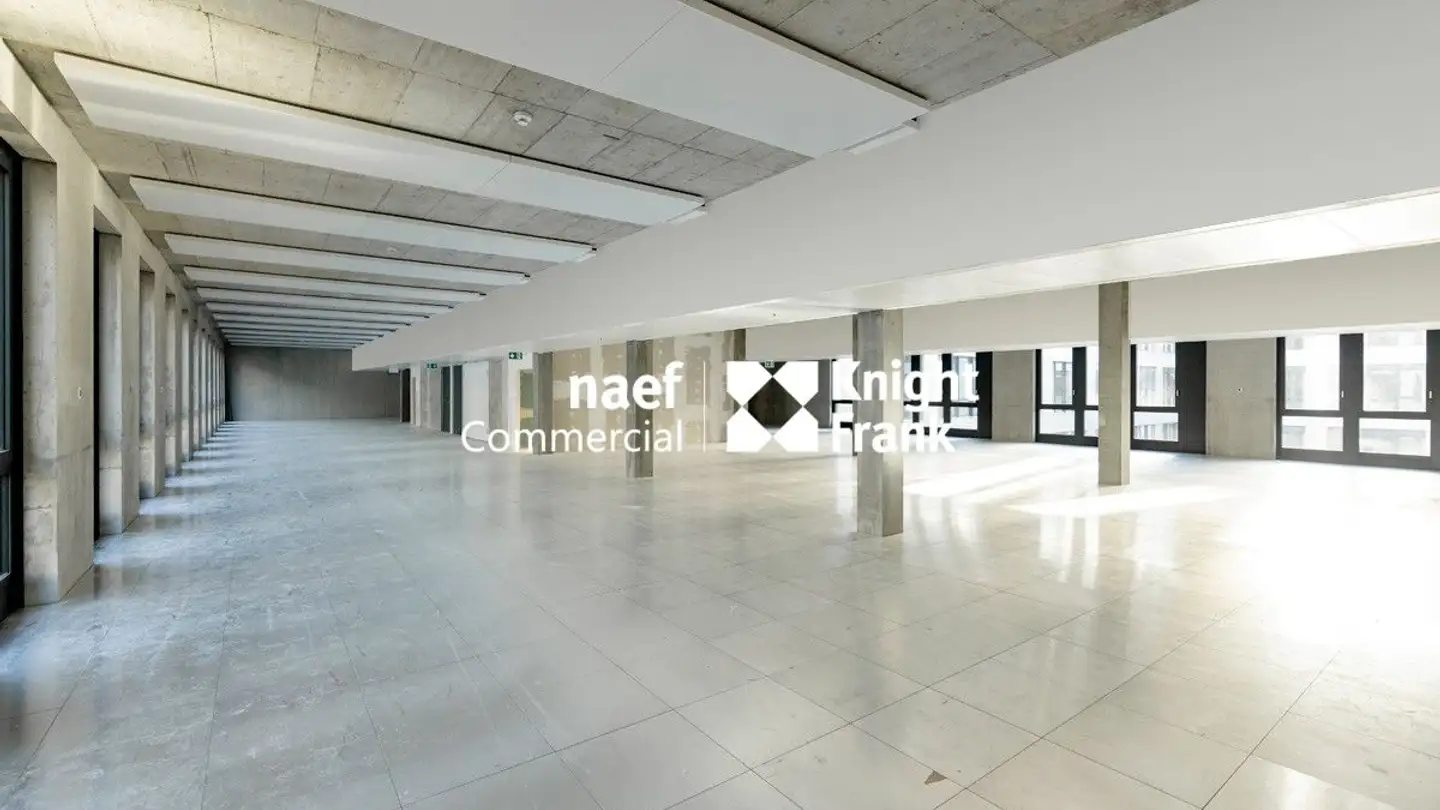 Commercial à louer - Rue De Lyon 114, 1203 Genève - Photo 2