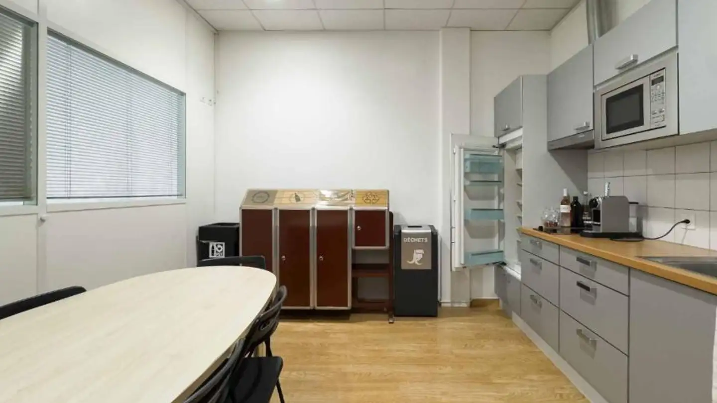 Office space for rent - Chemin Du Château-Bloch 10, 1219 Le Lignon - Photo 4