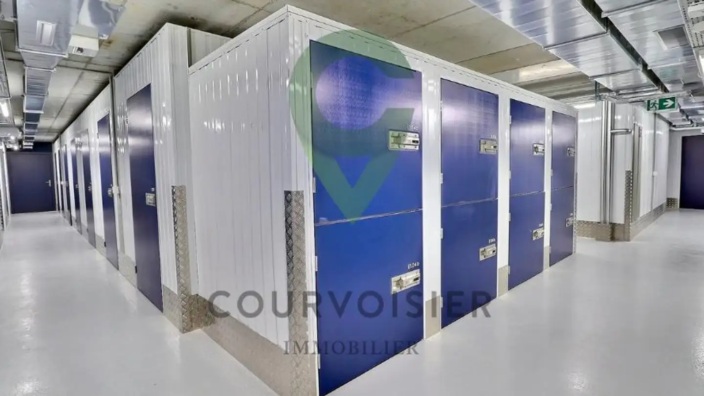 Espace de stockage à louer - Route Des Chaffeises 7, 1092 Belmont-sur-Lausanne - Photo 3