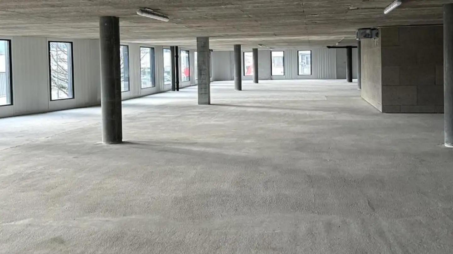 Office space for rent - Rue Des Ateliers 4, 1217 Meyrin - Photo 2