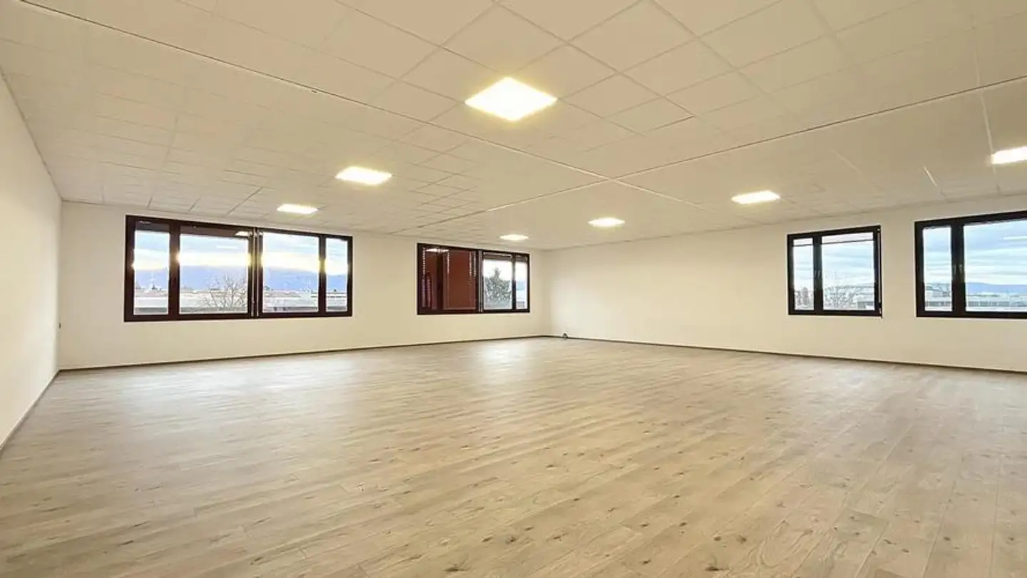 Office space for rent - Rue Du Cardinal- Journet 27, 1217 Meyrin - Photo 2