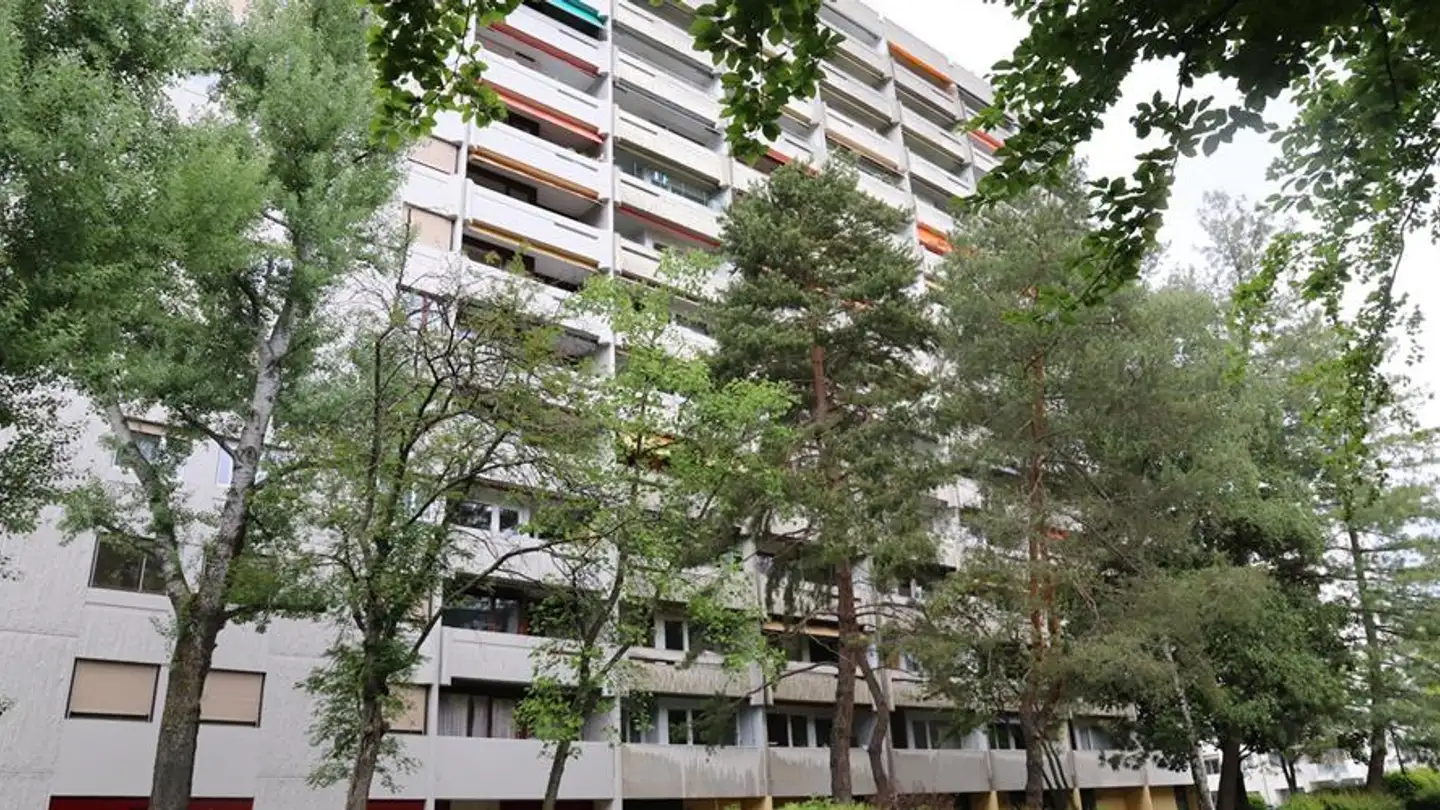 Commercial à louer - Avenue Ernest- Pictet 16, 1203 Genève