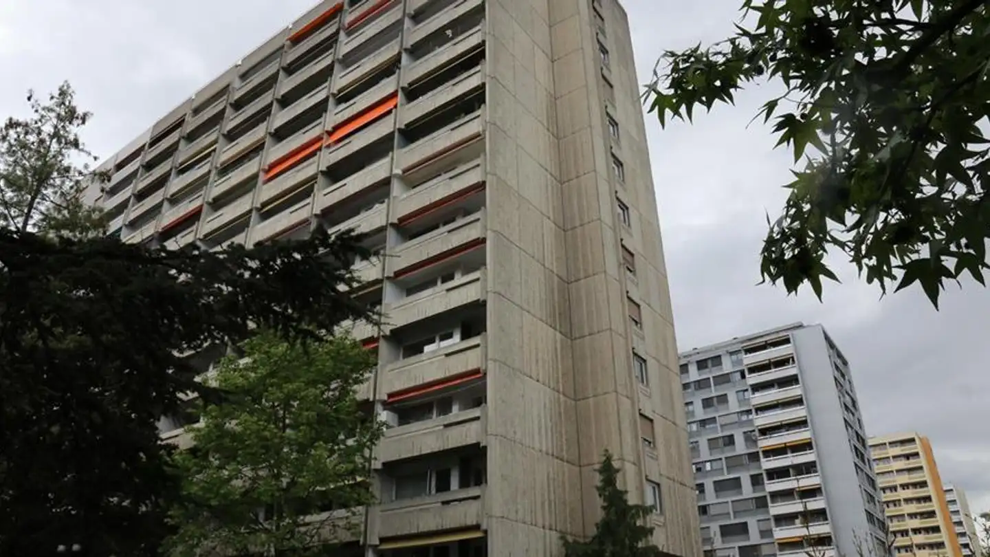 Commercial à louer - Avenue Ernest- Pictet 16, 1203 Genève
