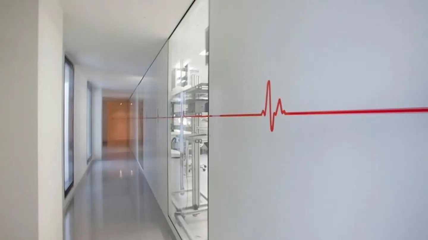Commercial à louer - Chemin De La Venoge 11, 1024 Ecublens VD - Photo 3