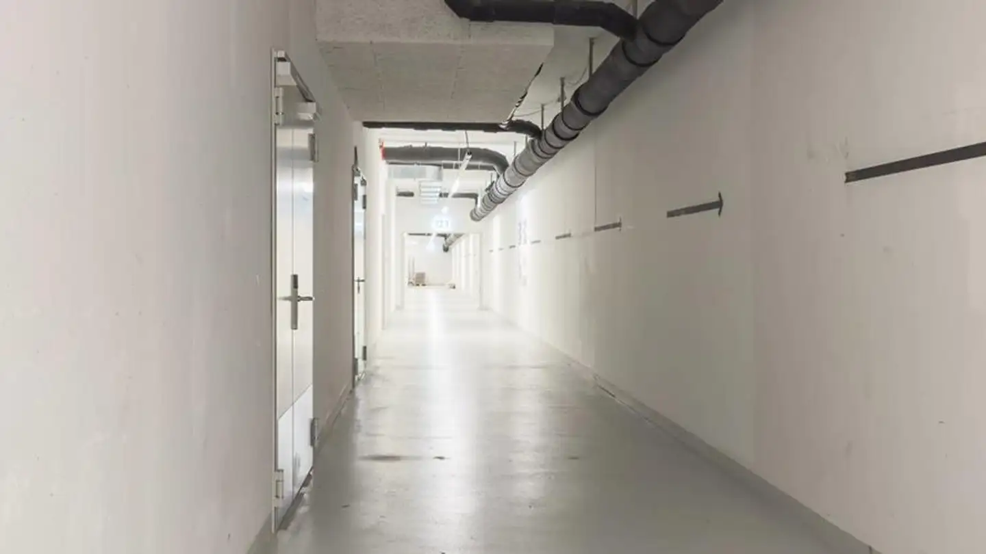 Commerciale in affitto - Chemin Du Pré Fleuri 15, 1228 Plan-les-Ouates - Foto 4