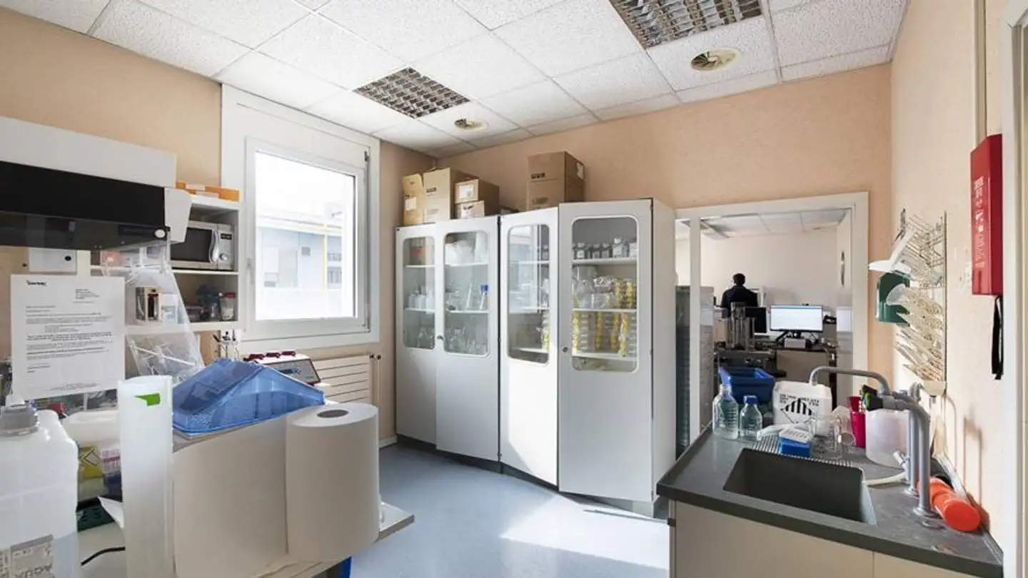 Spazio ufficio in affitto - Chemin Des Aulx, 1228 Plan-les-Ouates - Foto 4