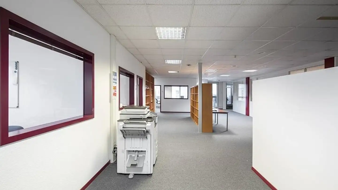 Commercial for rent - Chemin Des Aulx 12, 1228 Plan-les-Ouates