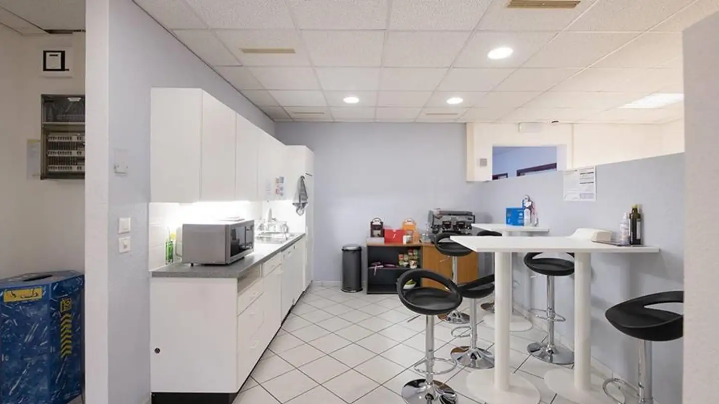 Gewerbe mieten - Chemin Des Aulx 12, 1228 Plan-les-Ouates - Foto 2