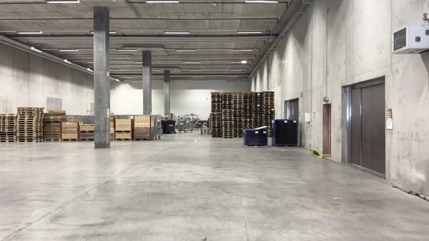 Commercial à louer - Chemin Grenet 22, 1214 Vernier - Photo 3