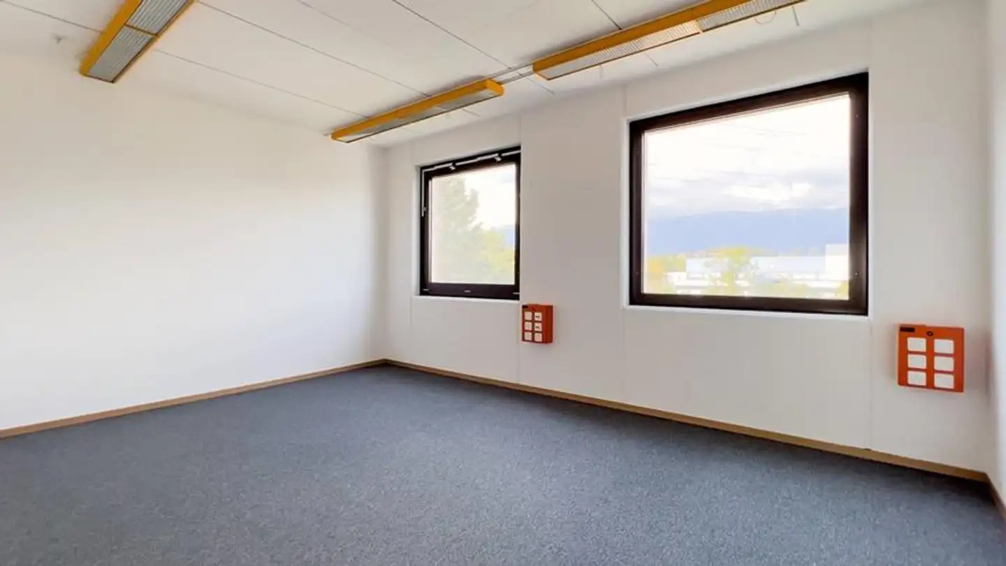 Commerciale in affitto - Rue Du Pré-De-La-Fontaine 19, 1242 Satigny - Foto 4