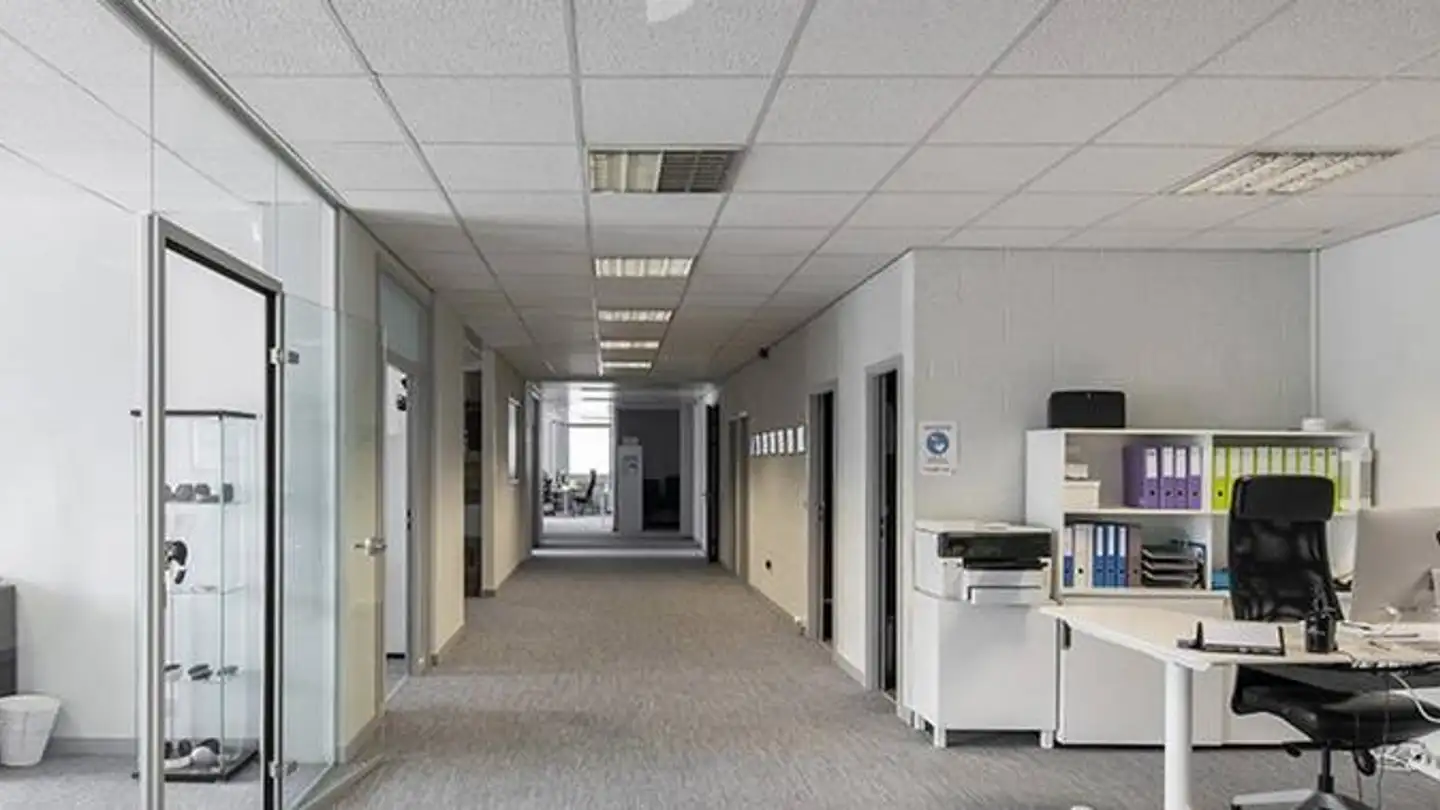 Gewerbe mieten - Chemin Des Aulx 8, 1228 Plan-les-Ouates - Foto 4